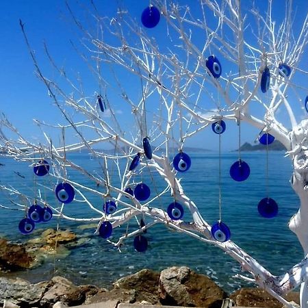 Azure Wellness Retreat (Adults Only) Hotel Turgutreis Eksteriør billede