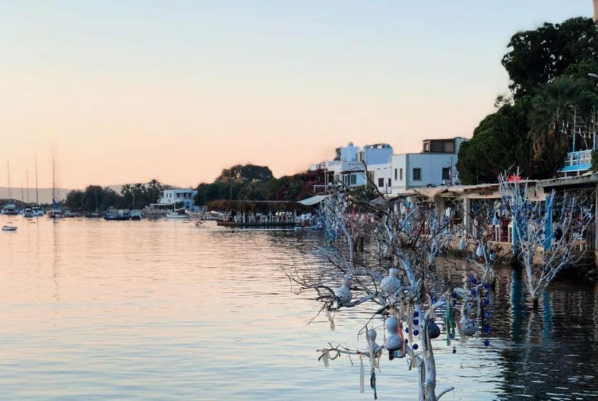Azure Wellness Retreat (Adults Only) Hotel Turgutreis Eksteriør billede